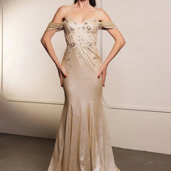 Off shoulder formal dress.Mother of the bride,bridesmaid gold,silver,black,party - Picture 1 of 6